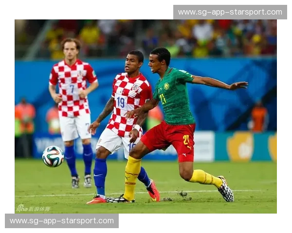绿茵场上的冰与火之歌：喀麦隆与克罗地亚的纯粹碰撞